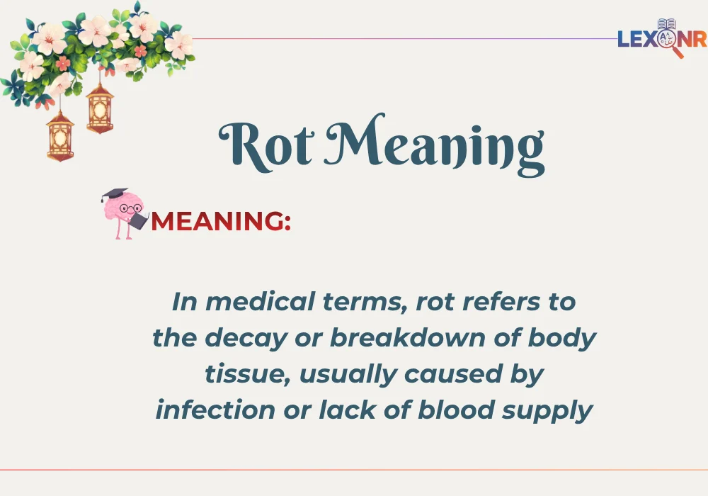 What Does Rot Mean in Slang