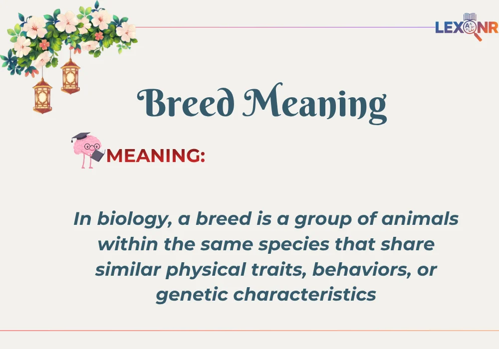 Breed meaning in biology