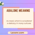 Abalone Meaning