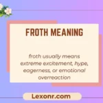 Froth Meaning