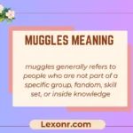 Muggles Meaning