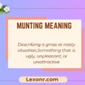 Munting Meaning