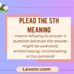Plead the 5th Meaning