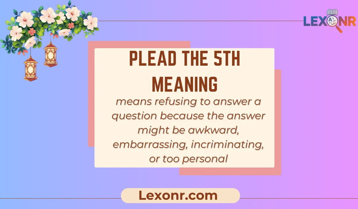 Plead the 5th Meaning