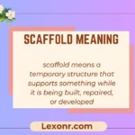 Scaffold Meaning