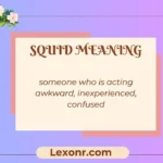 Squid Meaning