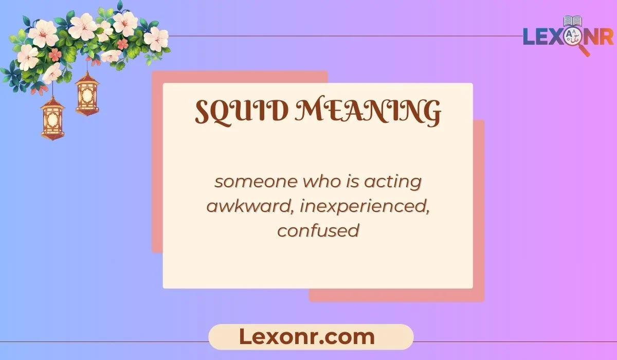 Squid Meaning