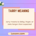 Tarry Meaning