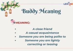 Buddy Meaning