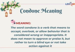 Condone Meaning