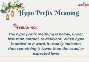Hypo Prefix Meaning