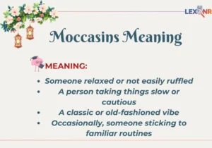 Moccasins Meaning