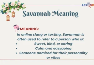 Savannah Meaning