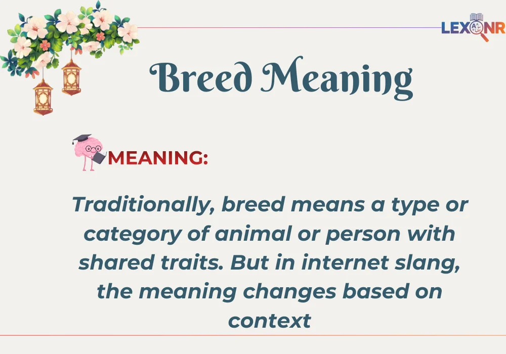 Breed Meaning
