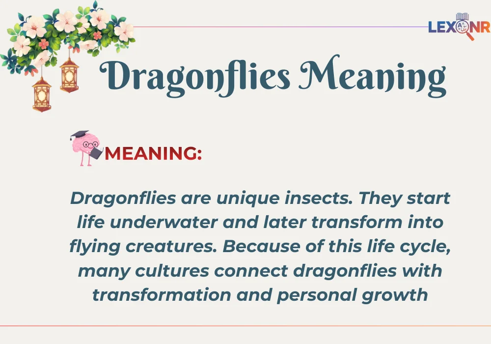 Dragonflies Meaning