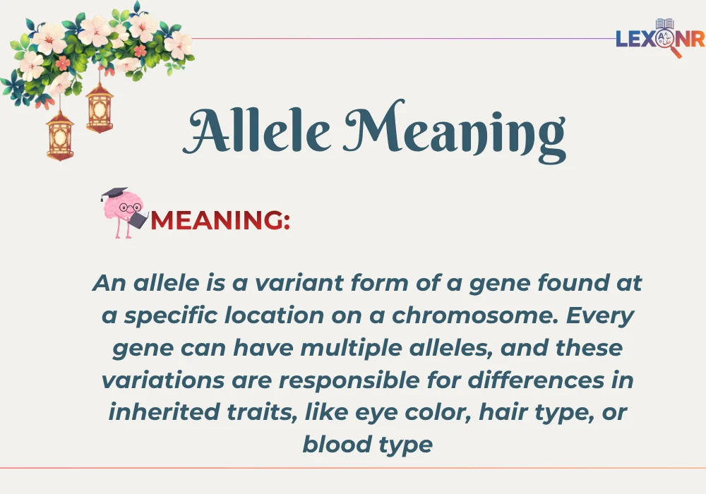 Allele Meaning