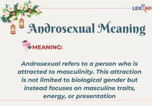 Androsexual Meaning