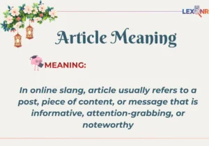 Article Meaning