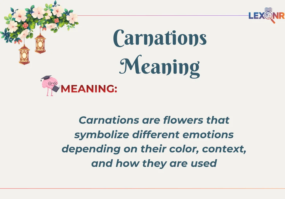 Carnations Meaning