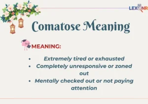 Comatose Meaning