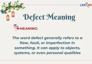 Defect Meaning