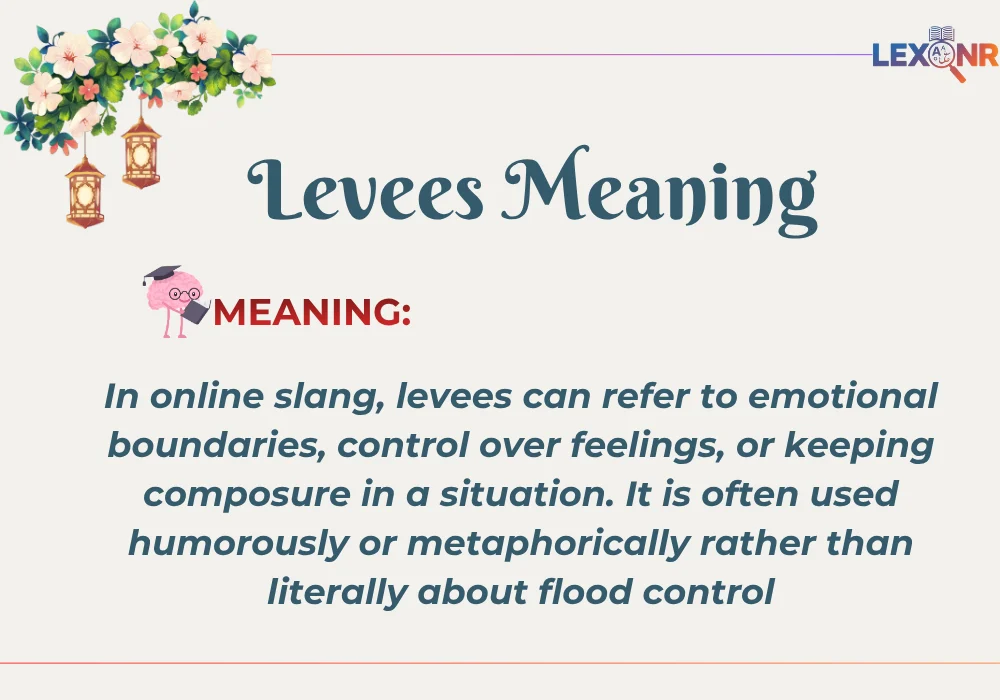Levees Meaning