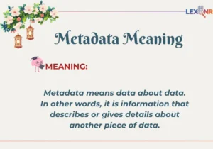 Metadata Meaning