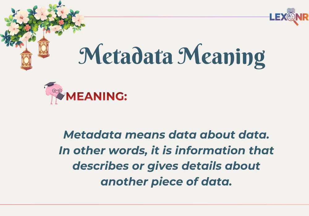 Metadata Meaning