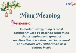 Ming Meaning