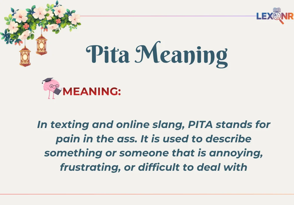 Pita Meaning