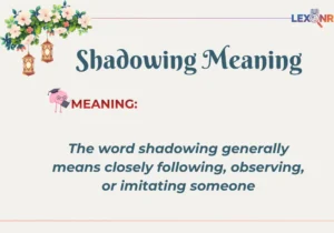 Shadowing Meaning