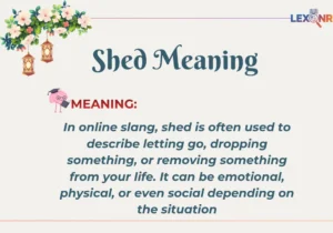 Shed Meaning