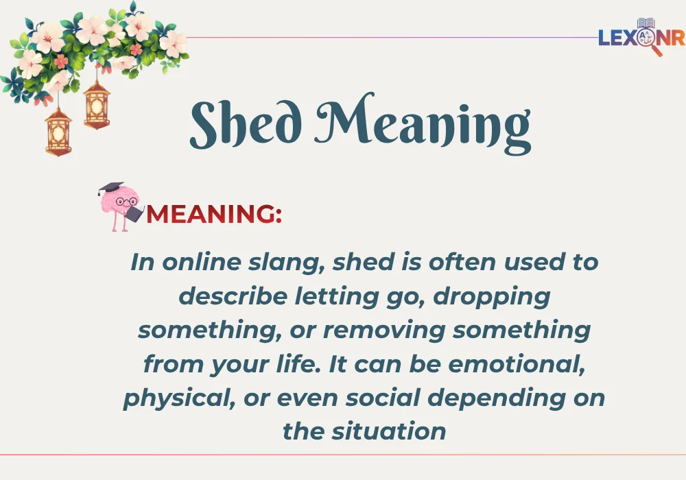 Shed Meaning