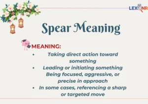 Spear Meaning