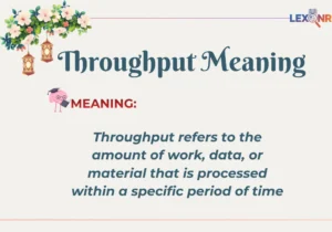 Throughput Meaning