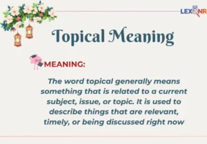 Topical Meaning