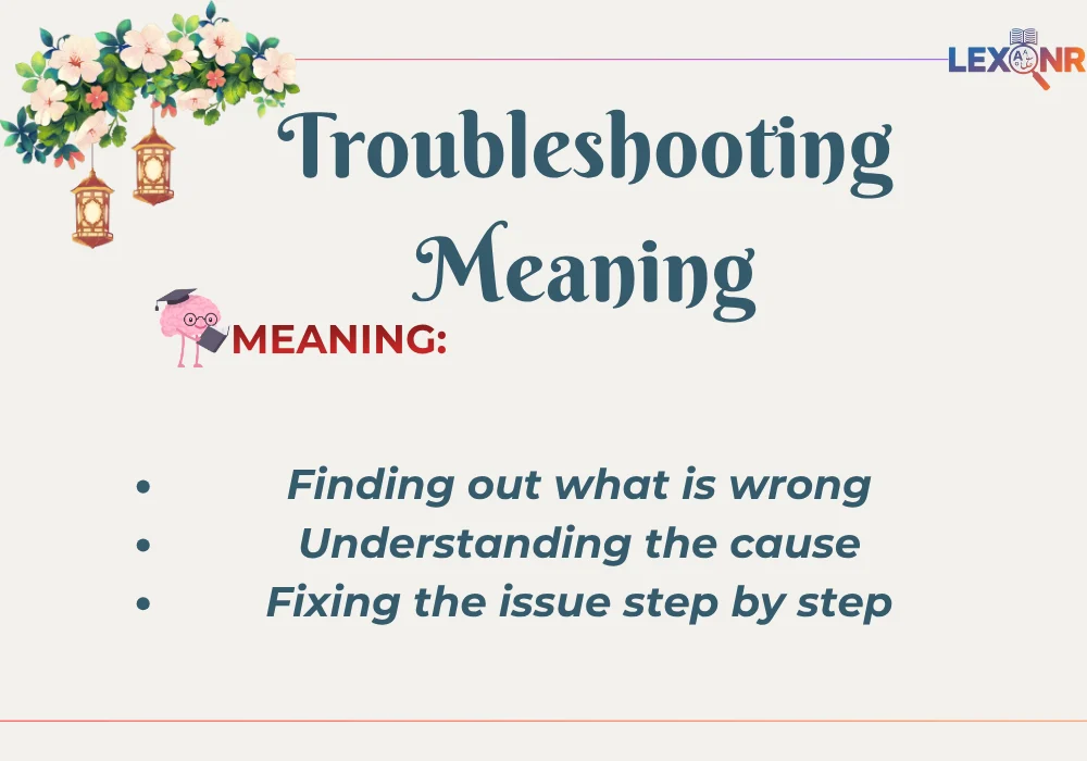 Troubleshooting Meaning