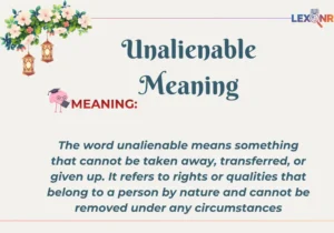 Unalienable Meaning