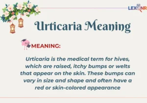 Urticaria Meaning