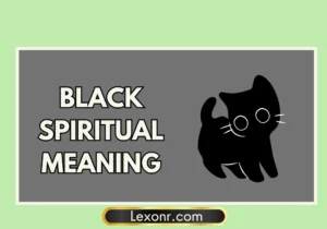 Black Spiritual Meaning