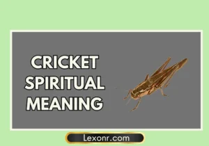 Cricket Spiritual Meaning