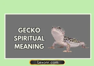 Gecko Spiritual Meaning