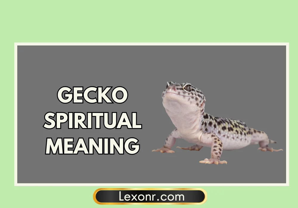 Gecko Spiritual Meaning