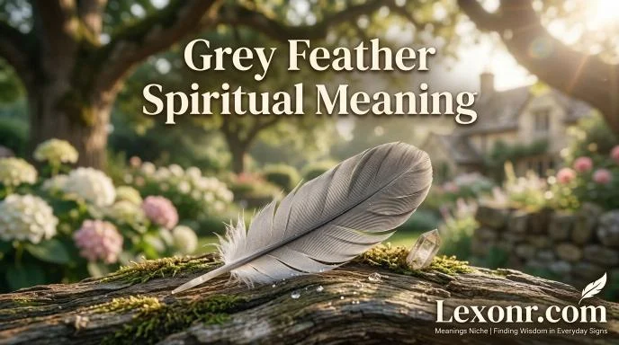 Grey Feather Spiritual Meaning