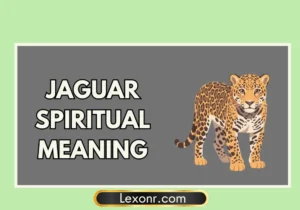 Jaguar Spiritual Meaning