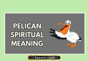Pelican Spiritual Meaning