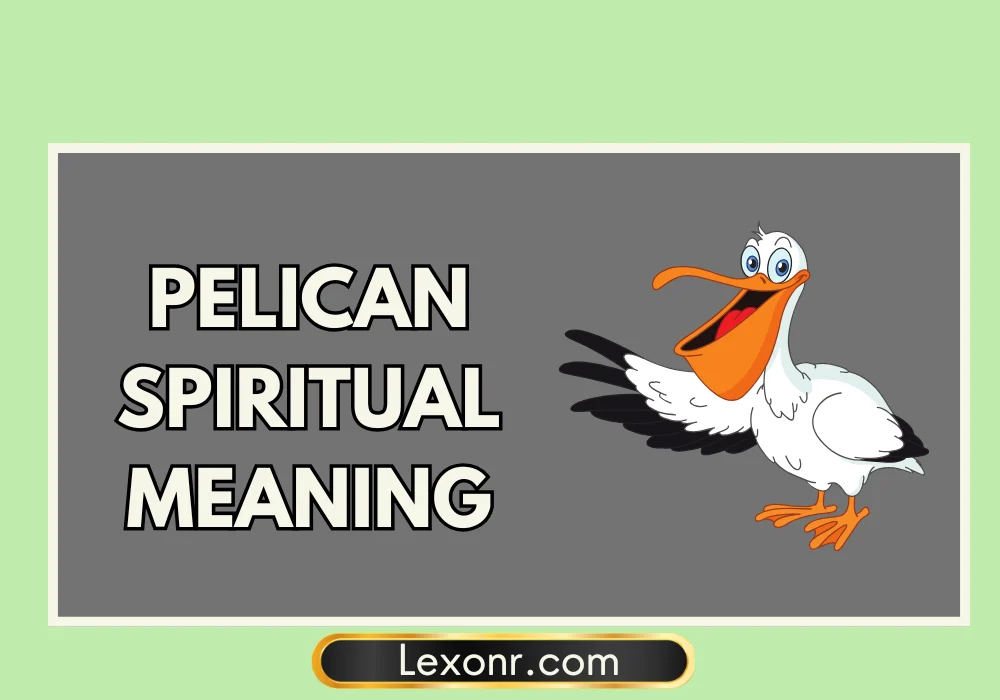 Pelican Spiritual Meaning