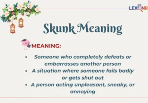 Skunk Meaning