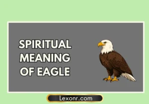 Spiritual Meaning Of Eagle