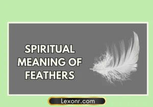 Spiritual Meaning of Feathers